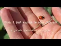 Not For Radio (The Marías) - Ache - Sub. English & Spanish