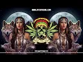 Stick Figure - Falling Stars ✨ (New Reggae / New Cali Reggae / Lyric Video)