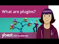 What are plugins and what can they do for your WordPress site WordPress for beginners