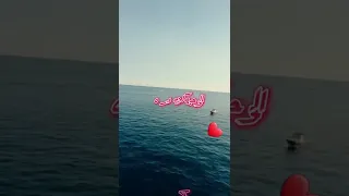 ماجد الرسلاني خصرك مسوي رجة بالناس سبب ضجة زينك دمار 