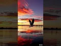 Download Lagu Loneliness is the usual state; why must we speak deeply to everyone we meet? #dance #gaming