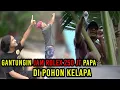 Download Lagu PRANK PAPA SAMPAI NANGIS!! GANTUNGIN JAM ROLEX 250 JT DI POHON KELAPA
