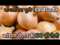 Download Lagu बापरे ! आता बांगलादेश मुळे देशातील बाजारात दिवाळीपर्यंत कांदा भावात 100% येणार 1000 ची तेजी