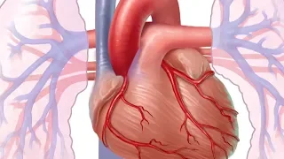 Mayo Clinic Minute What Is Heart Disease  Mayo Clinic Minute What Is Heart Disease