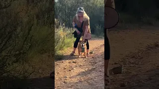 🚨 First Red Diamond Rattlesnake of 2026 🚨