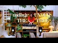 Lagu Italo House with mdbgr - Under The Tree