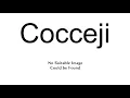 Cocceji