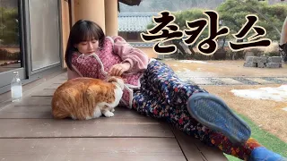 이런 하루면 충분해!