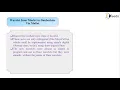 Daubechies Wavelets - Adaptive Filters