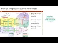 Nursing Chem - Lipids Part 2