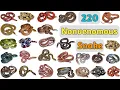 Download Lagu Nonvenomous Snake Vocabulary ll 220 Nonvenomous Snakes Name In English With Pictures ll Snakes List