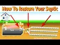Restoring A Septic Drain Field First Steps Least Vs Most Expensive