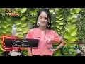 Download Lagu Safira Inema - Talineng Asmoro (Official Video Lirik) | Tumetese Iluhku Nganti Koyo Tirto Segoro