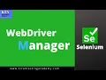 WebDriver Manager In Selenium Executing Test with Out driver
