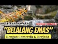 Download Lagu TOP MASTERING ! SUARA BELALANG EMAS DG GEMERCIK AIR \u0026 BERJEDA | MUDAH DIINGAT