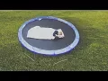 Download Lagu I Spent the Night on a Trampoline \u0026 It Didn't Go as Planned (Sleep on a Trampoline Challenge)