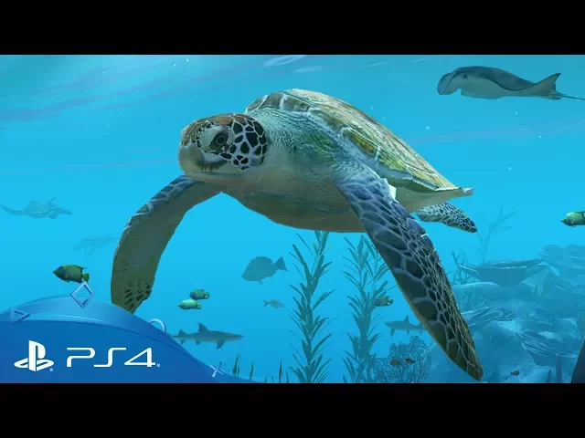 Aqua TV | Gameplay Trailer | PS4