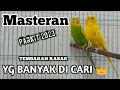 Download Lagu masteran parkit gacor nembak  panjang pas buat masteran
