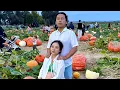 Lagu Hnub no Peb mus ua si pumpkin 🎃 