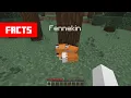 Download Lagu You can TAME Foxes
