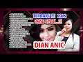 Download Lagu bang emok Dian Anic full album terbaru