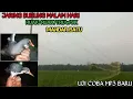 Download Lagu jaring burung mandar batu dan ruak-ruak menggunakan mp3 terbaru
