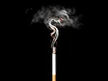 Top 10 Most Expensive Cigarette Brands In The World Per One Cigarette