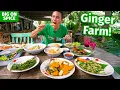 Thai Food Farm - 9 Dishes at Ginger Farm in Chiang Mai Thailand