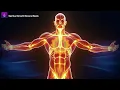 Muscle Growth & Repair Frequency: Binaural Beats to Boost Gains FAST (Post-Workout Recovery)