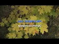 KAMU By TITO SUMARSONO Indonesian Malay Karaoke