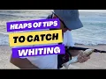 Download Lagu Great TIPS | Beach Whiting Fishing