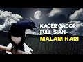 Download Lagu TERAPI KACER GACOR ISIAN SIANG HARI ATASI KACER MACET BUNYI LANGSUNG NYAUT BUKOR EMOZI