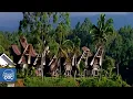Download Lagu The Toraja, in action: one of the most peculiar societies on the planet