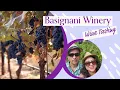 Wine Tasting Tour Basignani Winery MD