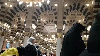 بلغ سلامي للنبي دندنها
