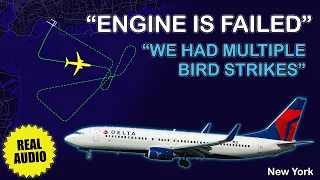 Multiple bird strikes caused engine failure Delta B738 returns to New York Kennedy Real ATC
