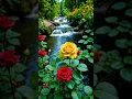 Download Lagu jamane ki burai mujh me h sanam# WhatsApp status