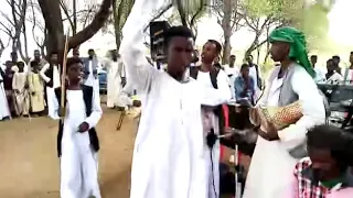 فنان الشباب المبدع النيل محمد حامد 