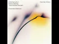 2 Fantasistykker for Violin & Piano: No. 1, Agitato ma marcato