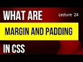 What are Margin and Padding in CSS CSS tutorial Web Development 2022