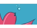 Hummingbird underwater