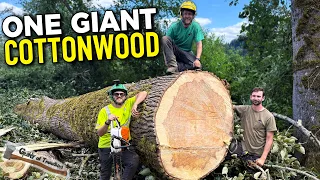 I was TERRIFIED when I reached the top of this GIANT Tree!!!