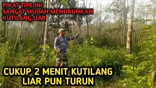 Download PIKAT KUTILANG Jitu Cukup 2 menit Kutilang Liar Turun MP3