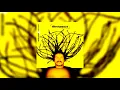 Nengo Vieira - 05. Graça (CD - Avivamente (2007))