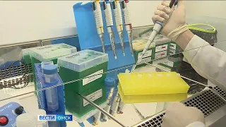 Учёные из пяти стран обсудят проблемы селекции и семеноводства в Омске