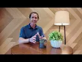 Pine Cove Staffing and Hiring Guidelines