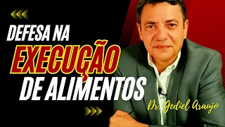 Como "defender-se" na ação de execução de alimentos. Entenda o que é relevante para a sua defesa.
