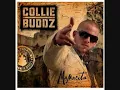 Collie Buddz - Eyez [2009]