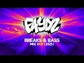 DJ FAYDZ - BREAKS \u0026 BASS 05 - BREAKBEAT MIX (2025)