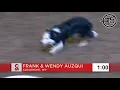 Wyoming dog and handler duo take home top prize in the Calgary Stampede World Stock Dog Championship